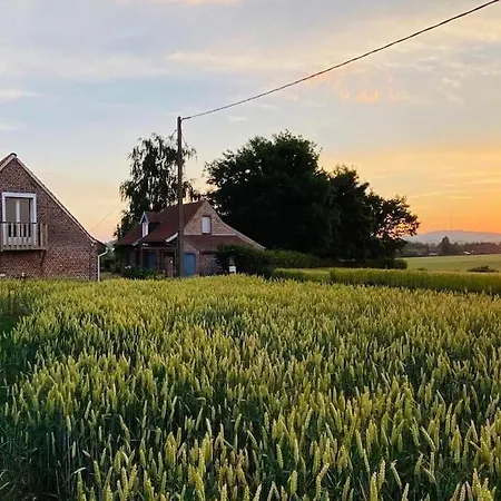 Cottage Chaleureux Au Coeur Des Monts De Flandres Saint-Jans-Cappel Buitenkant foto
