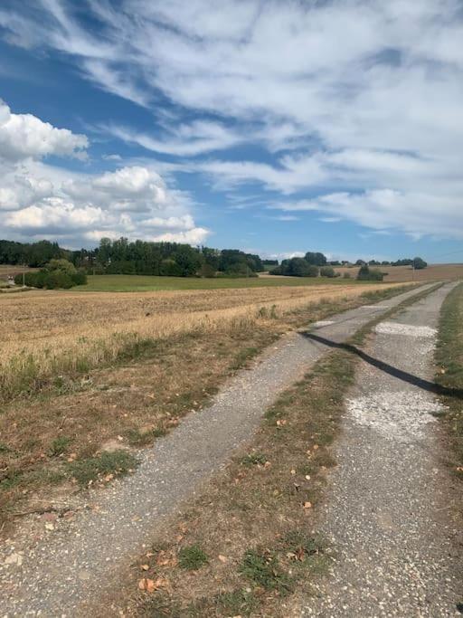 Chaleureux Au Coeur Des Monts De Flandres Hébergement de vacances
