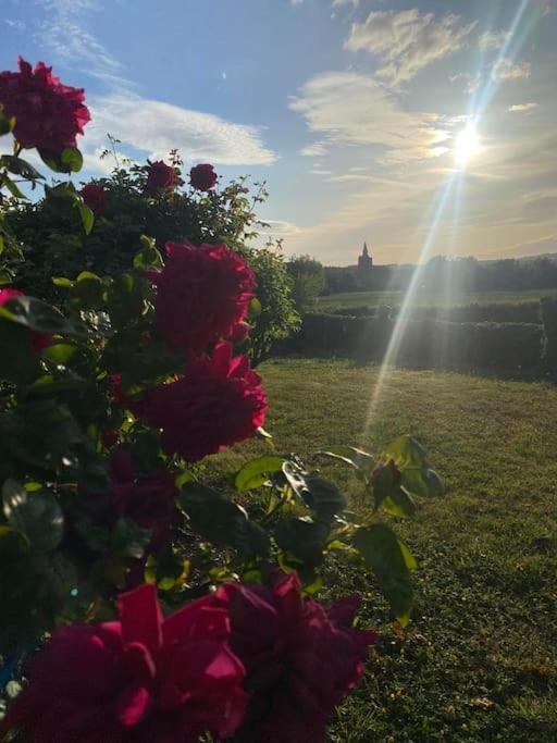 Chaleureux Au Coeur Des Monts De Flandres *
